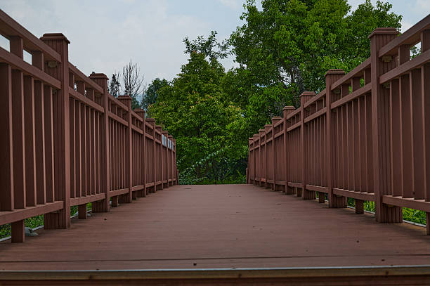 Boardwalk path with railings guiding through lush green foliage in an outdoor park setting