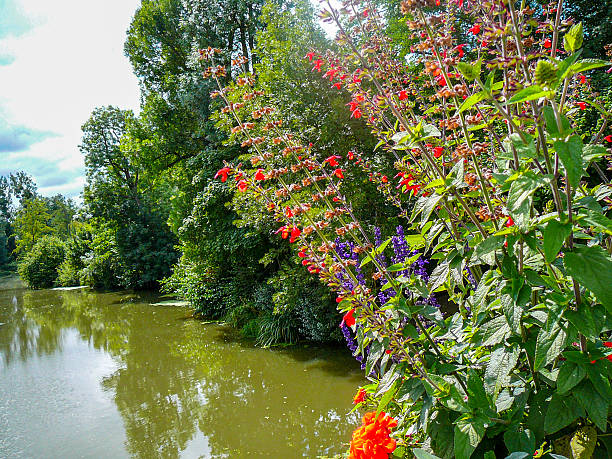 Bright red and purple flowers blooming on the riverbank with lush green trees in the background, France.