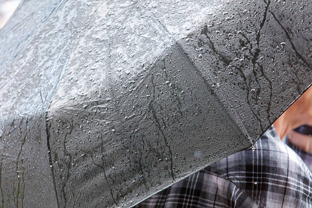 A person holding an umbrella with raindrops on it. The umbrella is black and grey. The person is wearing a plaid shirt