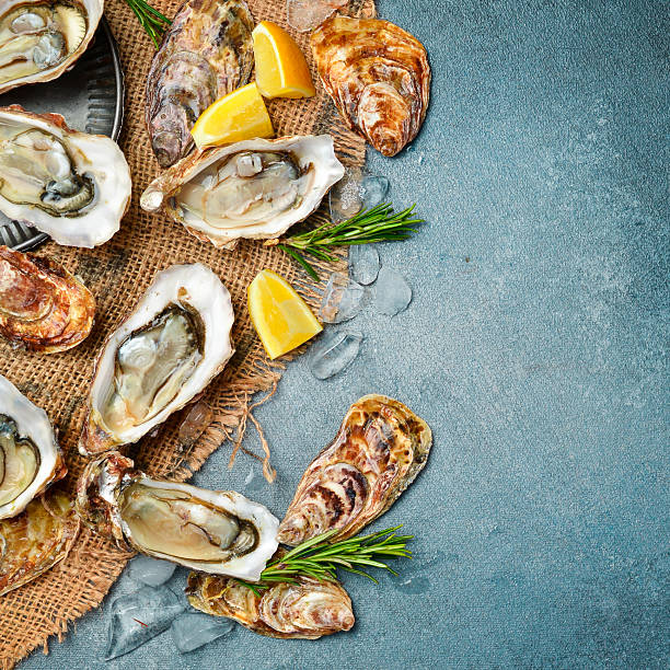istock Fresh open oysters with lemon and ice, ready to eat, on a gray stone background. 2236670929