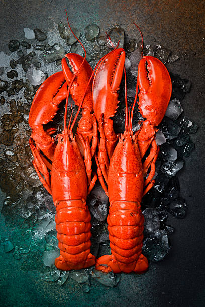 istock Two large cooked lobsters. Vertical photo, top view. 2236670983