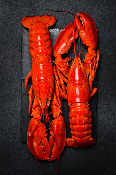 istock Two boiled lobsters. Luxury food on stone background. Top view. Fresh seafood. 2236671114