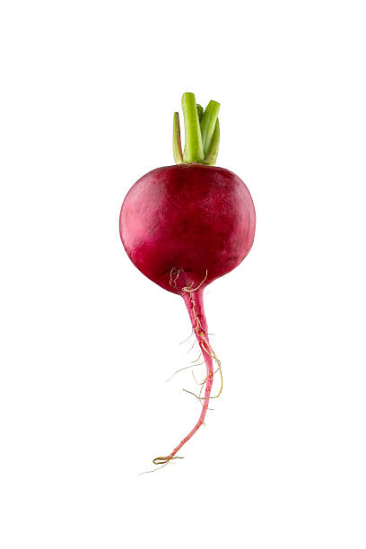 Fresh small red radish on white background