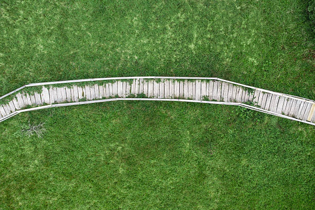 Wooden pathway curving across a vibrant green meadow. The elevated boardwalk provides a natural route for exploring wetlands