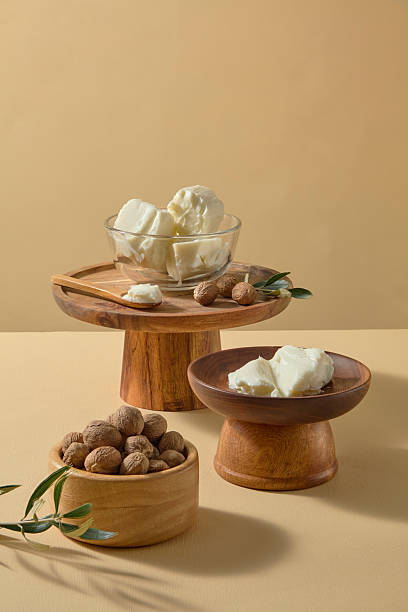 istock Natural ivory shea butter pieces, green sprig and scattered nuts styled on a beige surface, suitable for handmade soap, spa, and organic body butter visuals. Front view, vertical frame for social a 2236672843