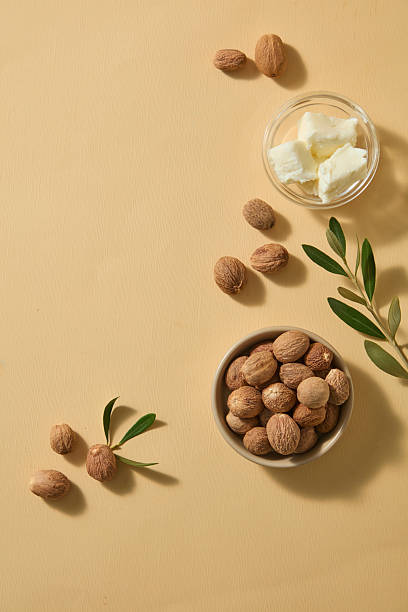 istock Bright modern shot with shea butter scoops, simple glass dish and scattered shea nuts, ideal for promoting eco-friendly skincare or handmade beauty product concepts. 2236672871