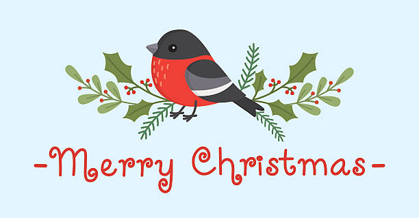 istock Merry Christmas horizontal banner with cute bullfinch and greenery. 2236673168