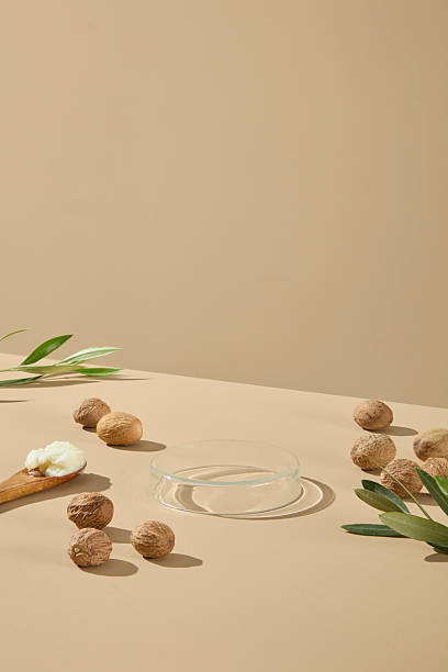 istock Empty platform scene with raw shea nuts and green leaves. Simple styling for inserting product designs. Space for presentation product with ingredient from shea butter 2236678622