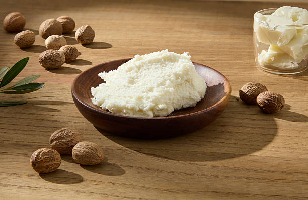 istock Whipped butter and shea nuts arranged on a plate. A cozy, natural presentation for cosmetic mockups. Shea butter is ingredient for cosmetic 2236678672