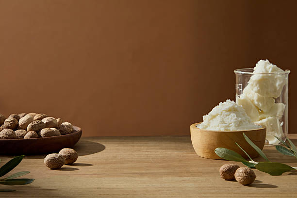 istock Whipped shea butter styled with shea nuts and leaf on wood. Highlighting the core ingredients beautifully. Front view, scene for advertising product with shea butter ingredient 2236678693