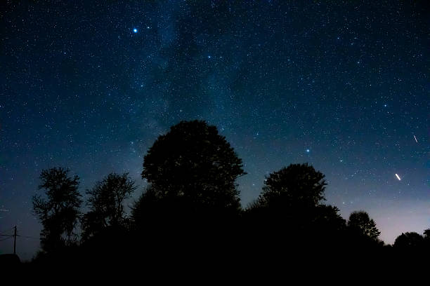 Milky Way stars with countryside tree and landscape silhouettes.