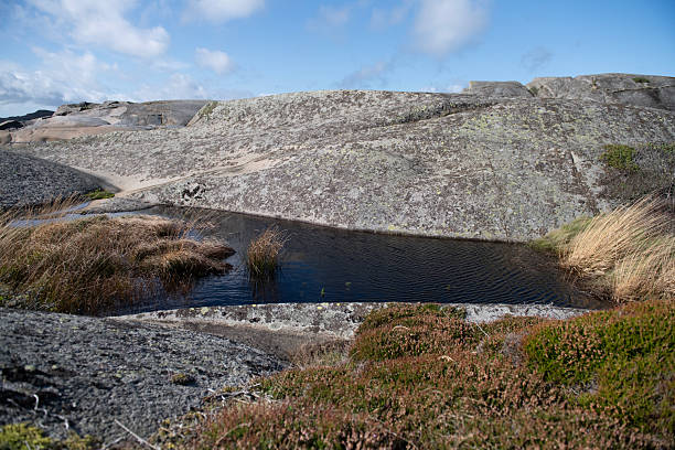 istock Pond in Seascape 2236680860