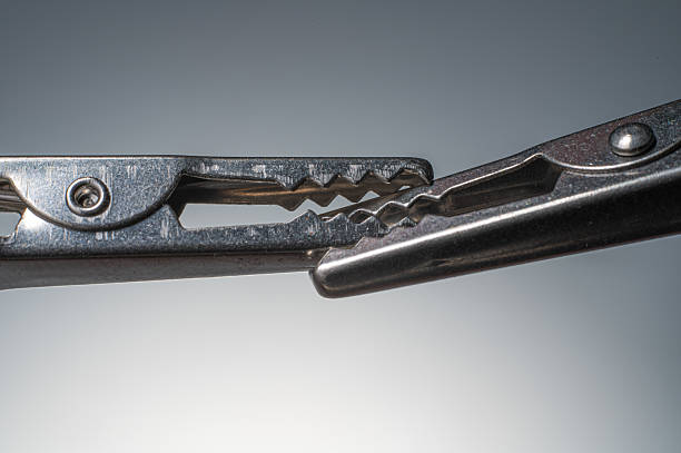 Alligator clips showing their serrated teeth in a macro view on a gradient background