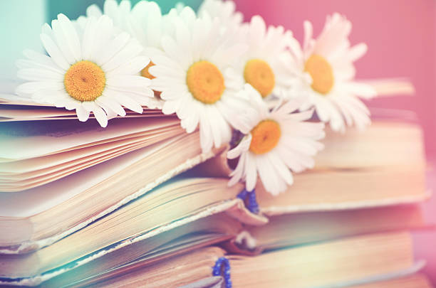 Altes Buch