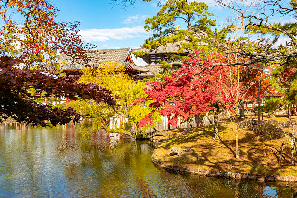 Nara, Japan - 23 November 2024: Autumn foliage in Nara park