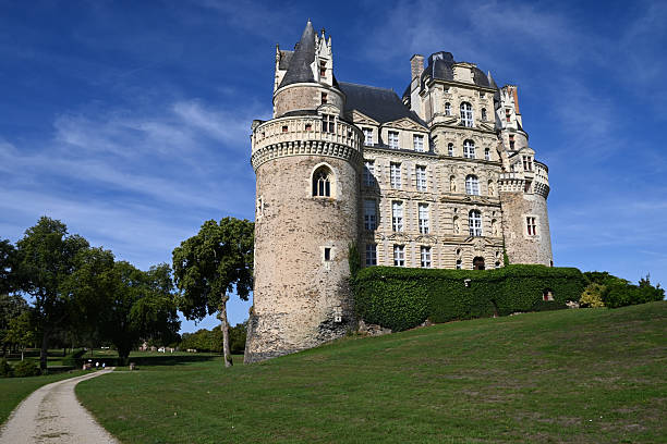 black and white, sepia toned view of the ancient Chateau d'Amboise, located in Amboise, France, in the Loire Valley