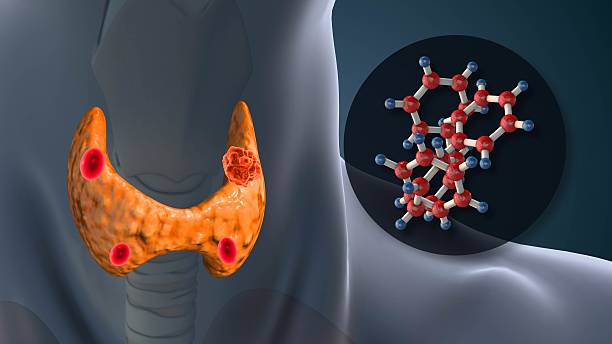 istock Hyperparathyroidism Disorder Affecting Human Body Hormones 2236690026