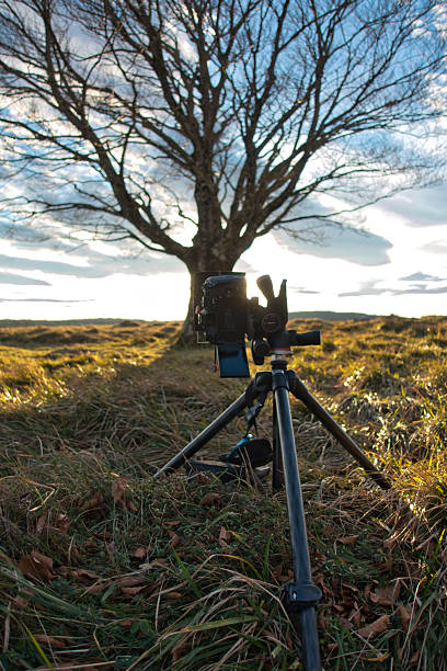 istock Landscape camera setup in front of a tree - A camera on a tripod is positioned in a grassy field, capturing a bare tree and a dramatic sky at sunrise or sunset. 2236691712