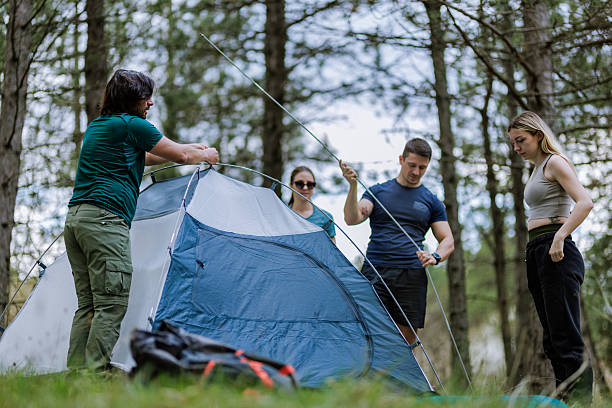 Camping team sets up a tent in a lush forest area on a sunny afternoon, preparing for a night under the stars and connecting with nature
