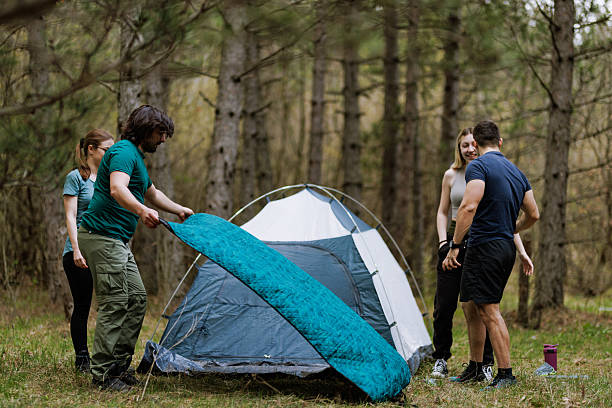 istock Friends setting up a camp in a forest during a sunny day while enjoying nature and preparing for an outdoor adventure 2236693060
