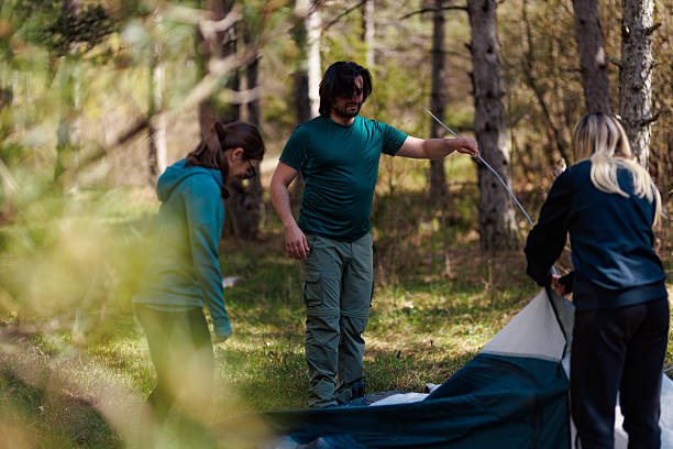 istock Friends setting up a tent while camping in a forest on a sunny day, enjoying nature and outdoor activities together in warm weather 2236693152