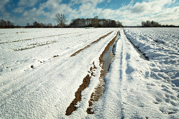 istock View of the dirt road and snow-covered fields 2236693617