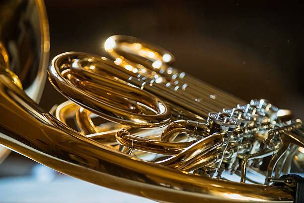 A close-up of a brass French horn being played in an orchestra. A musician's hands handle the instrument during a performance, depicting artistry and musical talent. Warm lighting enhances the details.