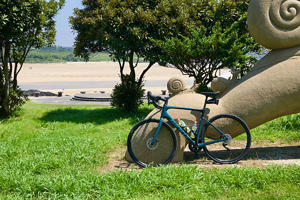 A road bike leans against a snail sculpture in the park above Pyoseon Beach, framed by shade trees and views of the amphitheater and broad sands below at low tide.