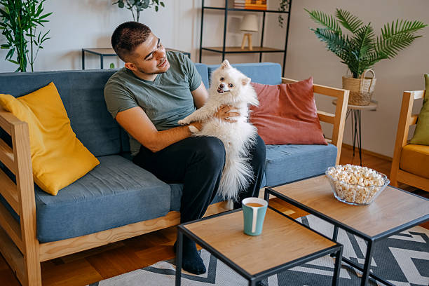 istock Young man spending time at home with his dog petting 2236704232
