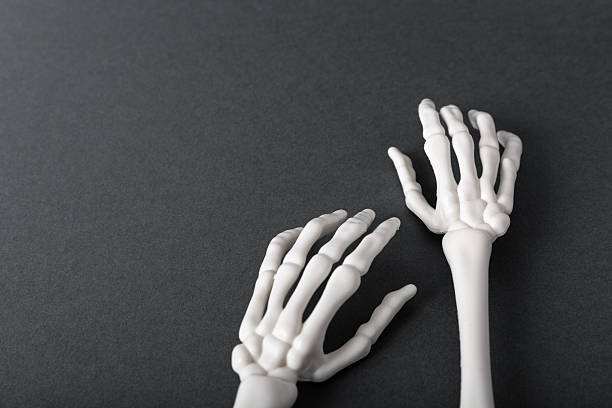 istock Not real Human skeleton hands on gray background, copy space 2236708519