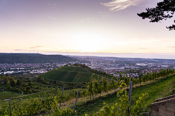 istock Stuttgart skyline and vineyards at sunset from Rotenberg hill 2236710766