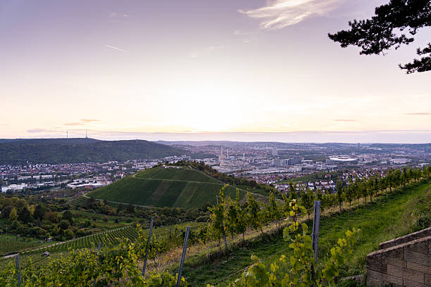istock Stuttgart skyline and vineyards at sunset from Rotenberg hill 2236710767