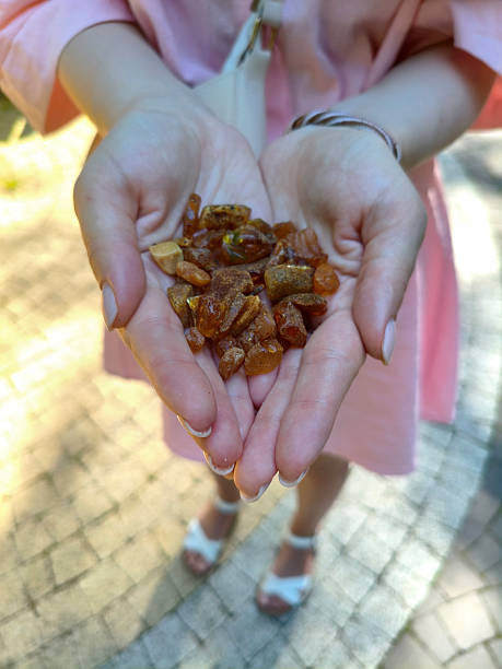 istock Hands holding raw amber stones in natural light 2236714548