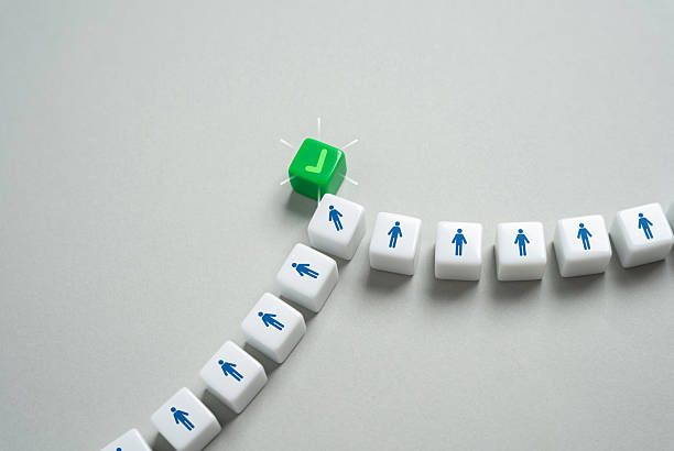 Voting at elections. Achieving goals through cooperation. Democracy. Influences social