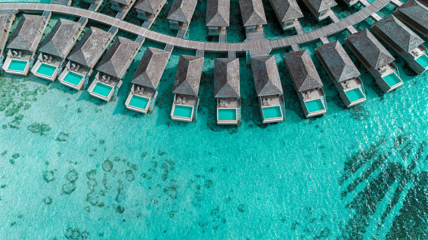 istock Drone view of tropical Maldives resort with palm-lined beach. 2236720841