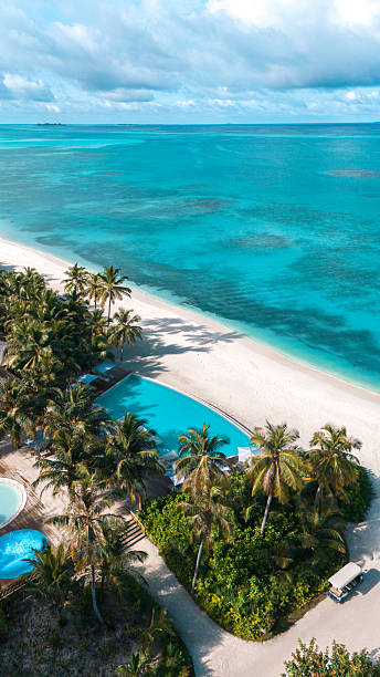 istock Drone view of tropical Maldives resort with palm-lined beach. 2236720895
