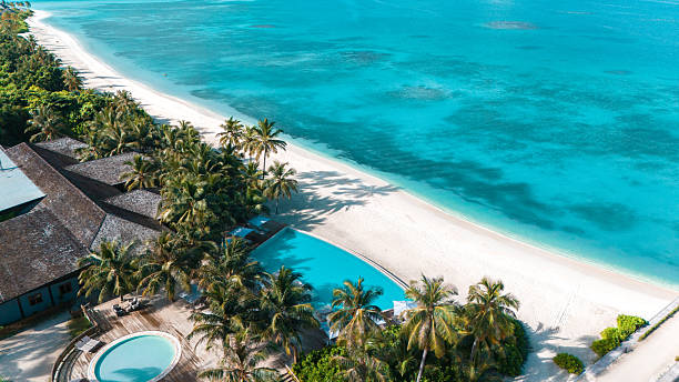 istock Drone view of tropical Maldives resort with palm-lined beach. 2236720917