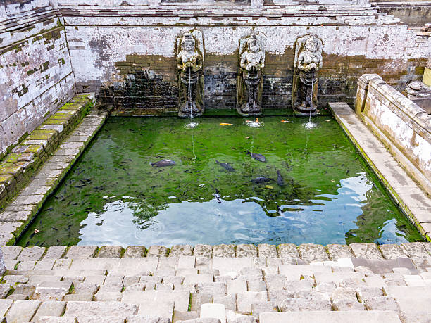 istock holy basin at Goa Gajah temple 2236720982