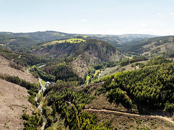 Aerial view of forest areas in Thuringia that were severely damaged by heat and bark beetles and had to be cleared.