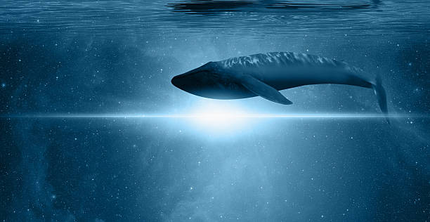 Nabula  :   https://www.jpl.nasa.gov/images/pia08653-the-sword-of-orion\nStars       :  https://esahubble.org/images/heic0910t/\n\n\nWorld oceans day concept with whale with a beautiful outher space  \