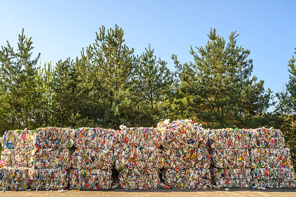 Bales of recycled plastic are stacked outdoors at a recycling center. The scene is featuring a backdrop of lush green trees under a clear blue sky, emphasizing environmental sustainability.