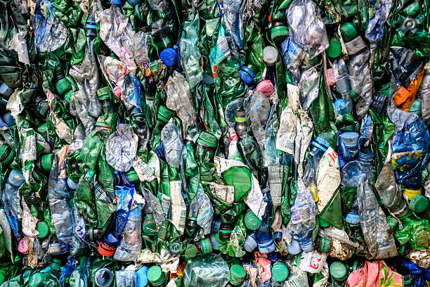 Plastic bottle with a recycle symbol in the background, highlighting the importance of recycling for environmental sustainability