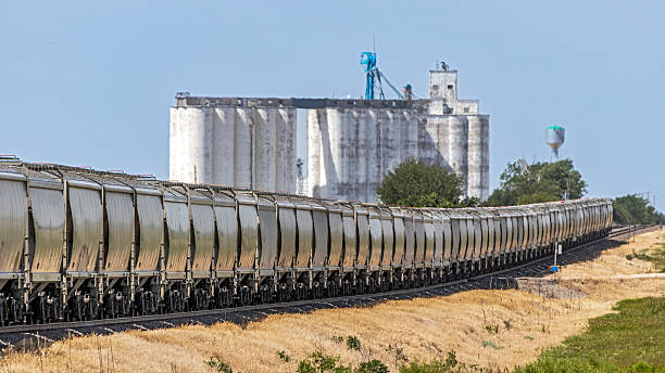 In rural Kansas, a long and heavy grain train passes a huge grain storage facility (silos/elevators) that dominates the background.  The locomotives are out of left frame.  Grain hoppers (railroad cars), telephoto view. 16x9 format. ID edited.