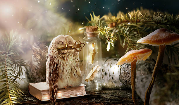 istock Fantasy wise sleeping owl holds key to knowledge in beak in magical mysterious forest with magic books in glass bottle. 2236730472