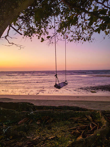 istock Empty Swing Overlooking a Tranquil River Beach at Sunset, Mosqueiro Island, Brazil. 2236732004