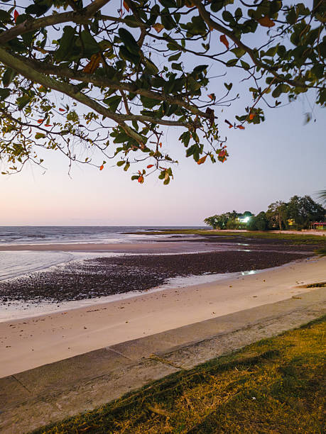 istock Scenic Coastal Road Alongside a River Beach During a Golden Sunset, Brazil. 2236732007