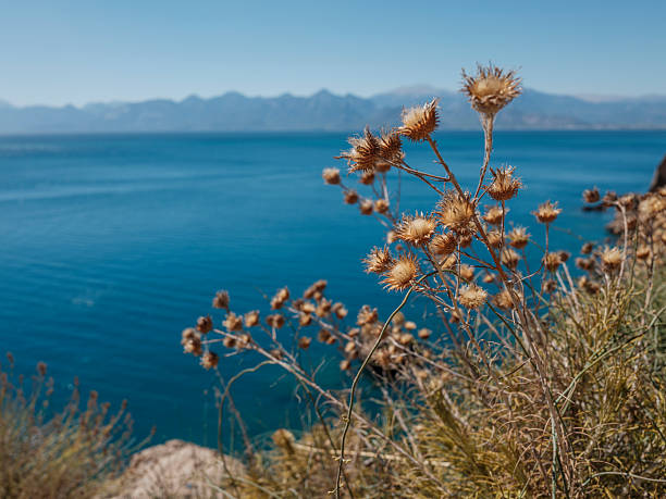 Stunning turquoise waters surrounding rocky coastline in Mediterranean