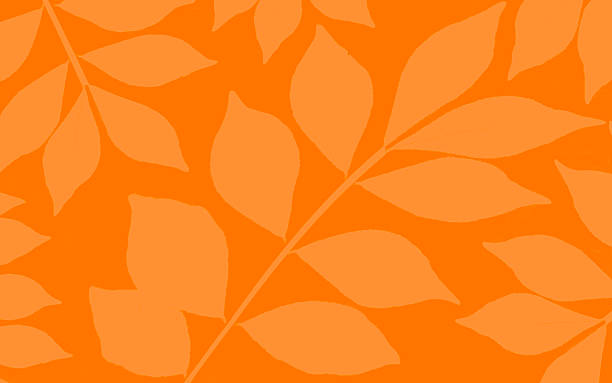 istock Orange Leaves Autumn Background 2236735984