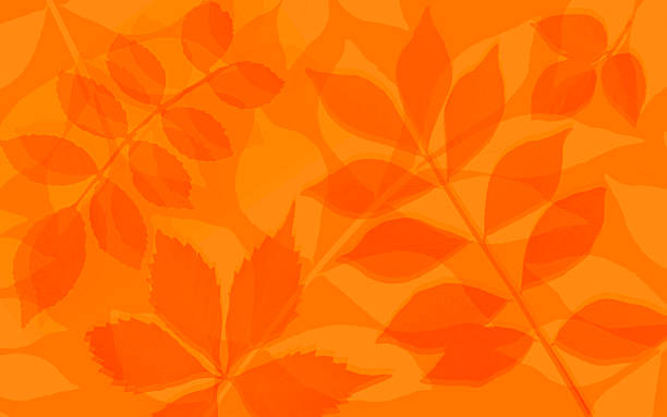 istock Orange Scattered Leaves Autumn Background 2236736011