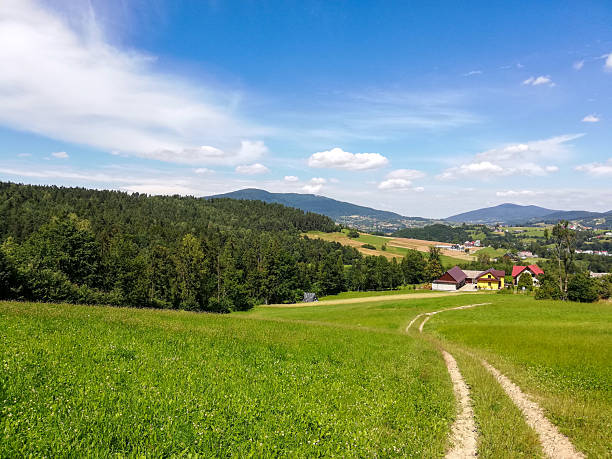 Sunny rural scene with a dirt track across green meadows, scattered houses, and forested hills under a blue sky.